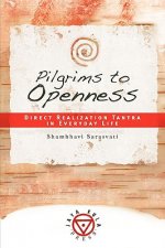 Pilgrims to Openness
