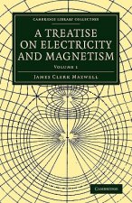 Treatise on Electricity and Magnetism