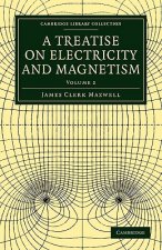 Treatise on Electricity and Magnetism