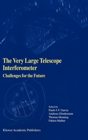 Very Large Telescope Interferometer Challenges for the Future