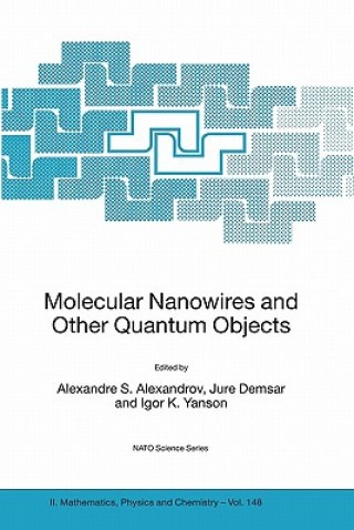 Molecular Nanowires and Other Quantum Objects