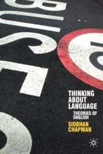 Thinking About Language