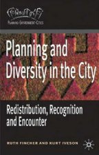 Planning and Diversity in the City