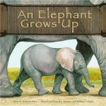 Elephant Grows Up