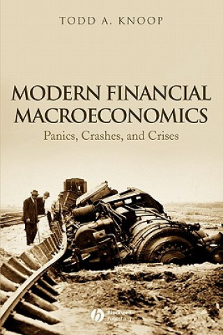 Modern Financial Macroeconomics - Panics, Crashes, and Crises