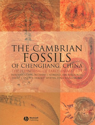 Cambrian Fossils of Chengjiang, China