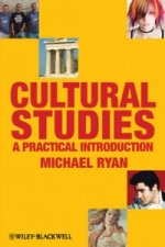 Cultural Studies - A Practical Introduction