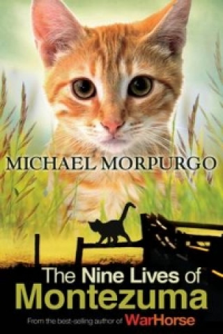 Nine Lives of Montezuma