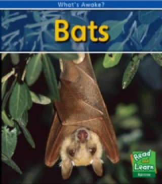 Bats