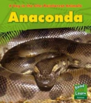 Rainforest Animals: Anaconda