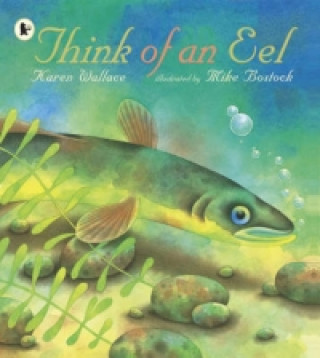 Think of an Eel