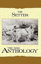 Setter - A Dog Anthology (A Vintage Dog Books Breed Classic)