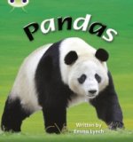 Bug Club Phonics Non-fiction Set 09 Pandas