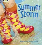 Bug Club Phonics Non Fiction Reception Phase 3 Set 11 Summer Storm