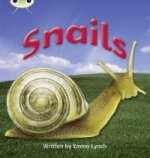 Bug Club Phonics Non Fiction Year 1 Phase 4 Set 12 Snails