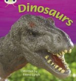 Bug Club Phonics Non Fiction Year Two Phase 5 Set 26 Dinosaurs