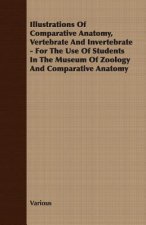 Illustrations Of Comparative Anatomy, Vertebrate And Invertebrate - For The Use Of Students In The Museum Of Zoology And Comparative Anatomy