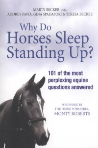 Why Do Horses Sleep Standing Up?