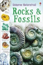 Rocks and Fossils