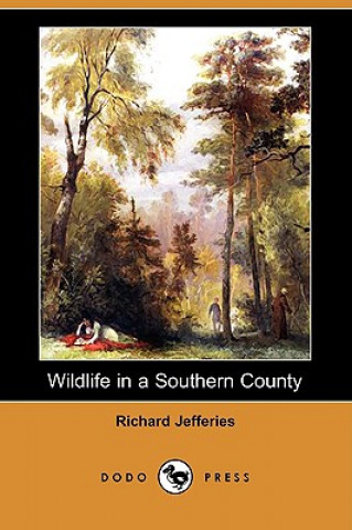 Wildlife in a Southern County (Dodo Press)
