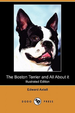 Boston Terrier and All about It