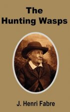 Hunting Wasps