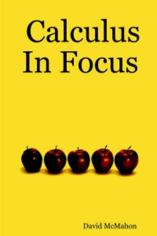 Calculus In Focus