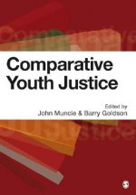 Comparative Youth Justice