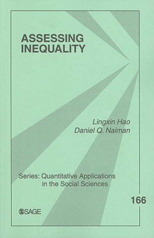 Assessing Inequality