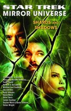 Mirror Universe: Shards and Shadows