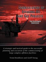 Commissioning of Offshore Oil and Gas Projects