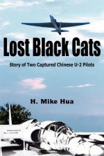 Lost Black Cats