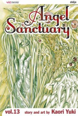 Angel Sanctuary, Vol. 13