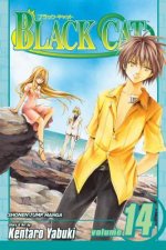 Black Cat, Vol. 14