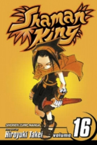 Shaman King, Vol. 17