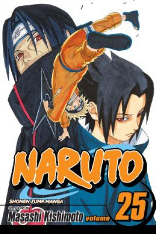 Naruto, Vol. 25 (Masashi Kishimoto)(Puha kötésű)
