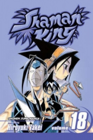 Shaman King, Vol. 18