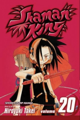 Shaman King, Vol. 20