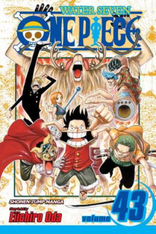 One Piece, Vol. 43 (Eiichiro Oda)(Puha kötésű)