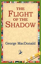 Flight of the Shadow