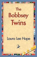 Bobbsey Twins
