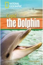 Dolphin Named Cupid