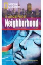 Special Type of Neighbourhood + Book with Multi-ROM