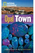 Opal Town + Book with Multi-ROM