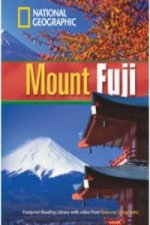 Mount Fuji + Book with Multi-ROM