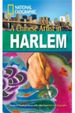 Chinese Artist in Harlem + Book with Multi-ROM