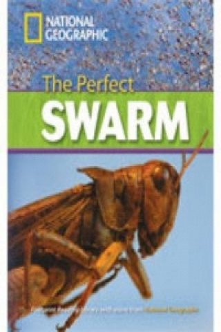Perfect Swarm + Book with Multi-ROM