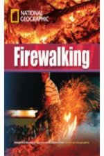 Firewalking + Book with Multi-ROM