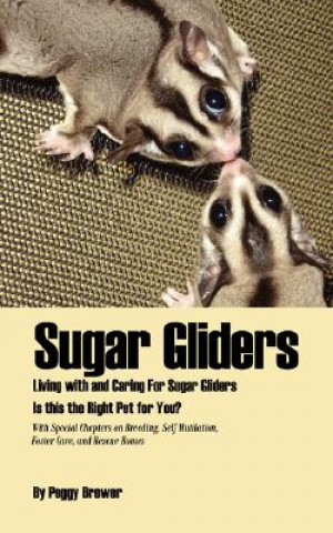 Sugar Gliders