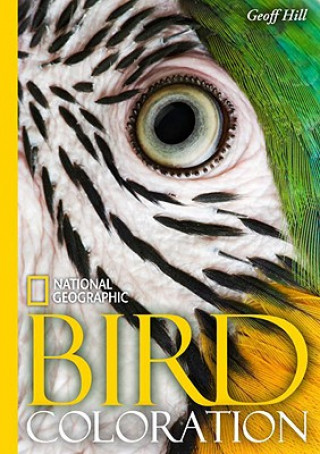 National Geographic Bird colouration